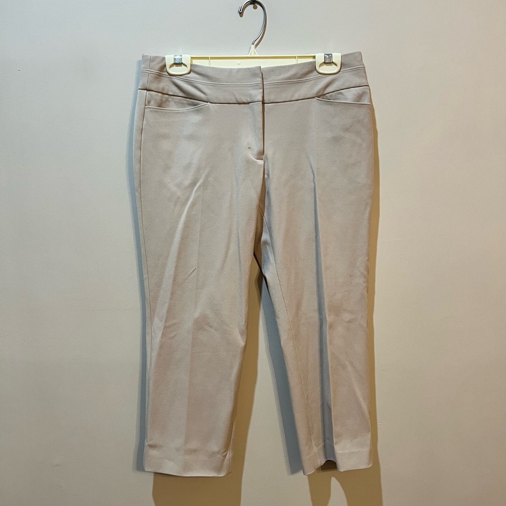 Express tan khaki pants
